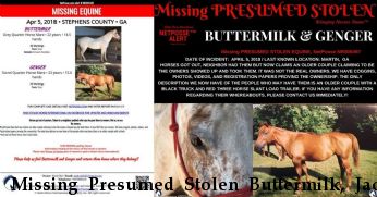 Missing Presumed Stolen Buttermilk, Jacs Queen Tamet Near Martin, GA, 30557